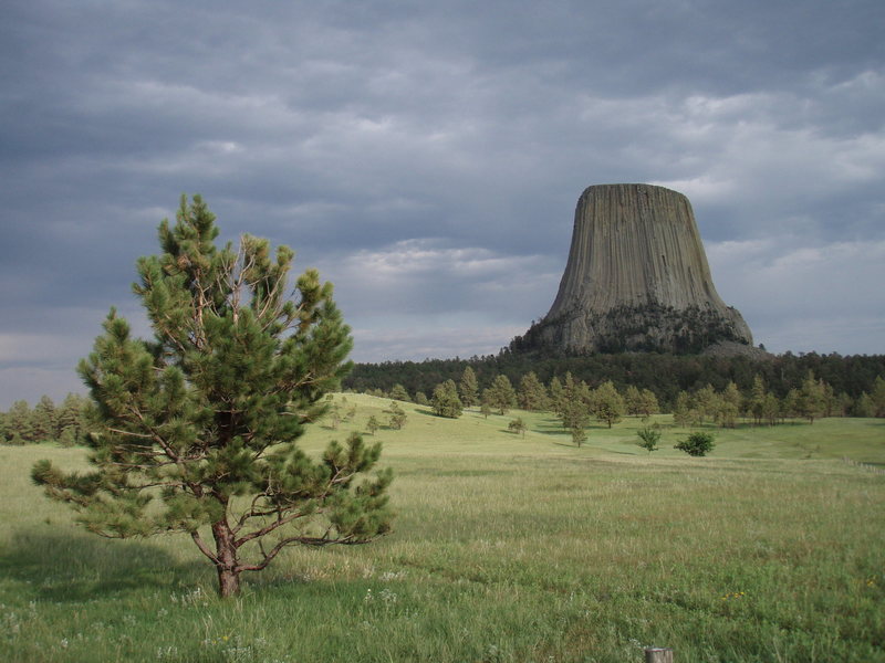 Tower, July 2008