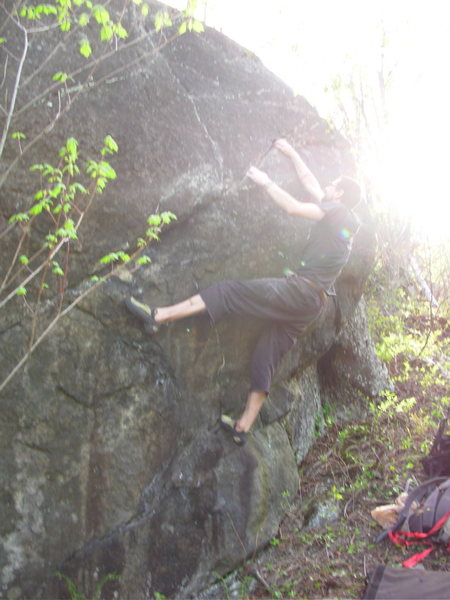 Chris Deulen on Tree Hugger