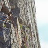 Lord of all he surveys.<br>
<br>
Marmot on the <em>Question Mark Wall</em>.