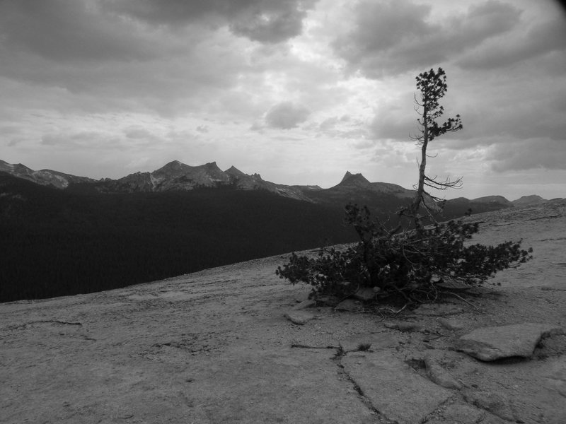 The top of Lembert dome