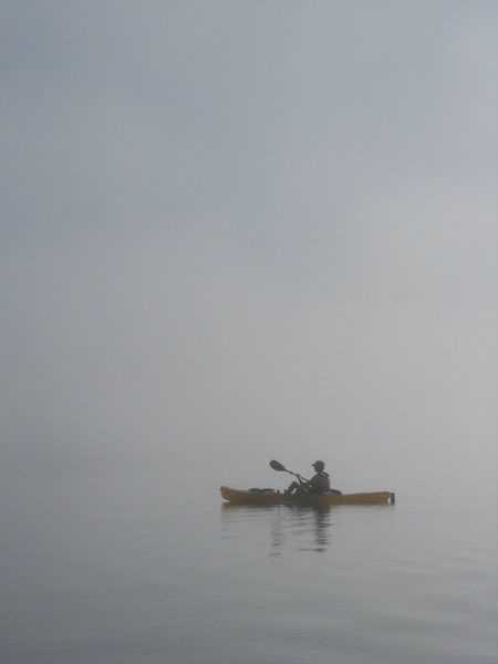 In the sea of Cortez - Baja California, Mexico