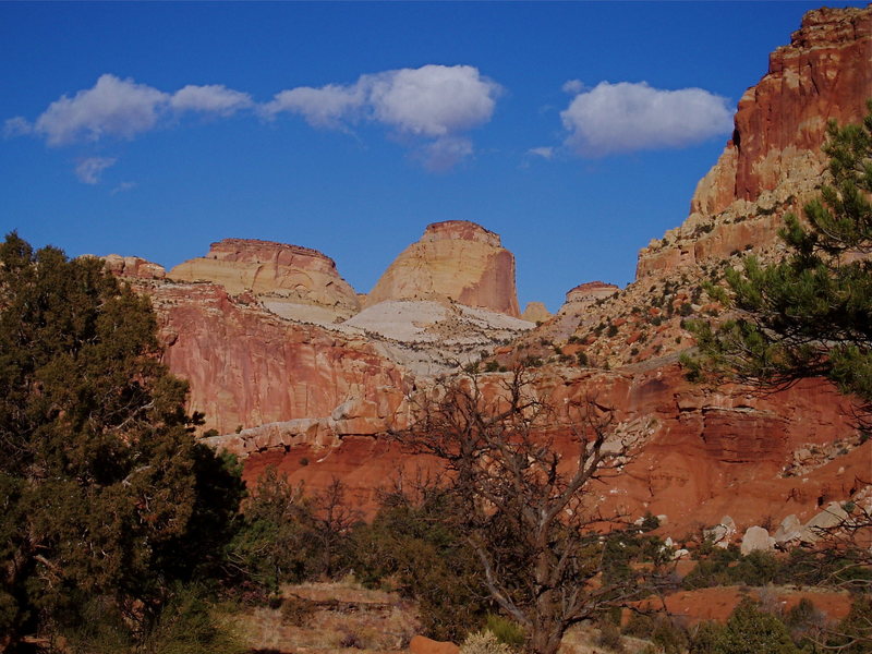 Navajo domes atop Wingate cliffs.