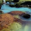 Stream detail, Ishinca Valley.