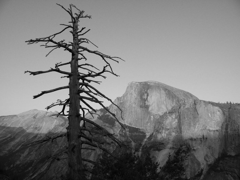 Half dome from atop the columne