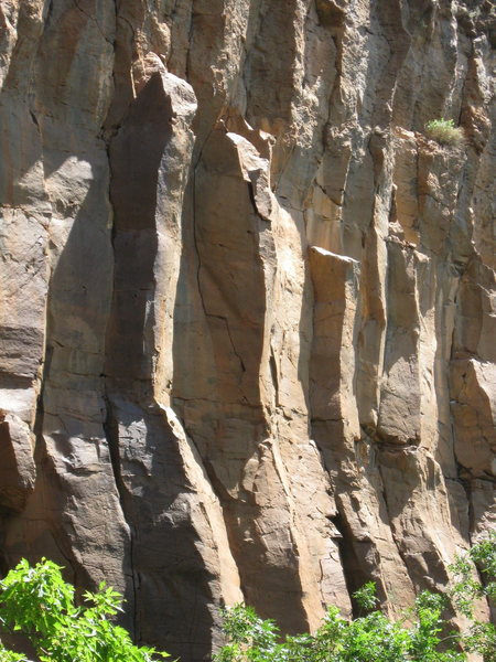 A shot showing the tops of Locks of Dread and the Harder They Come. Locks Of Dread is the large brown pillar left of center. HTC center stage.