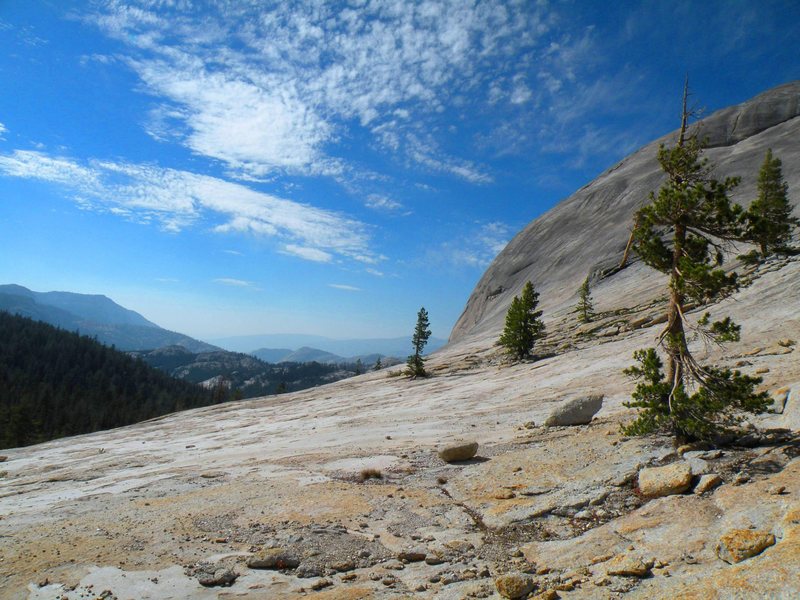 Fairview dome