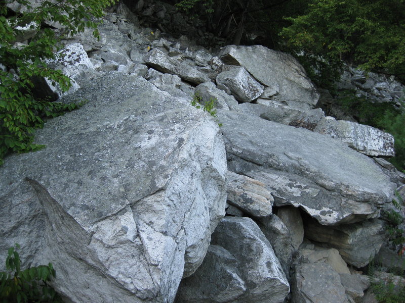 This the is little talus field where the High E approach trail cuts off from the carriage road.