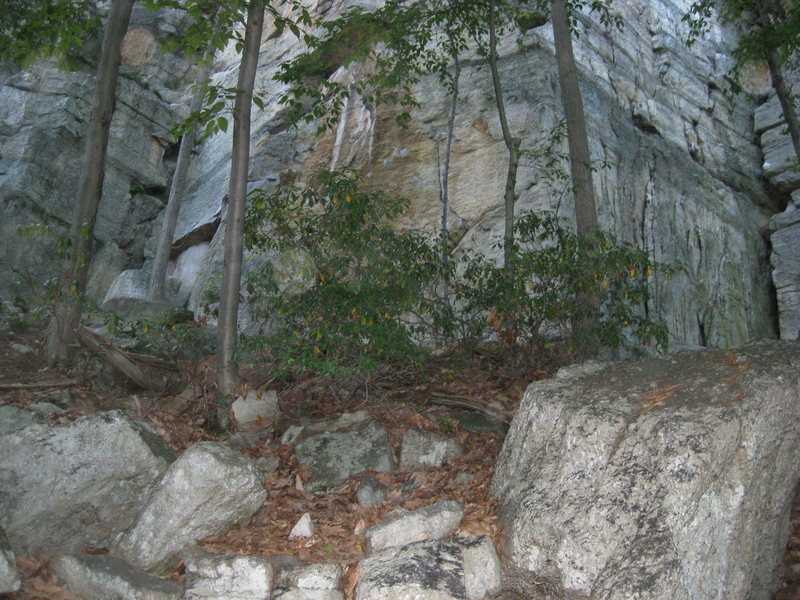 This is what you see as you come through the talus field on the way up to High E from the carriage road. High E is the corner on the left.