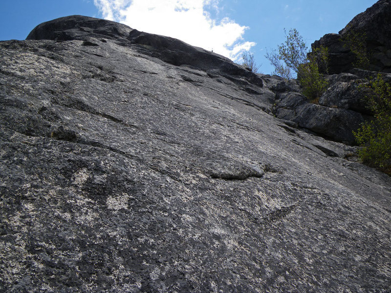 Looking up at the Heart of Gold pitch