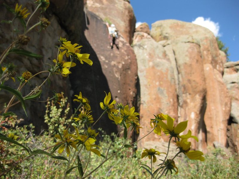 the Rock Garden<br>
San Luis Valley<br>
photo cred: Dave Fischer