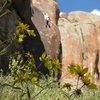 the Rock Garden<br>
San Luis Valley<br>
photo cred: Dave Fischer