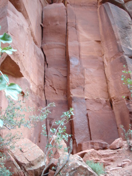 No more "organ" graffiti (courtesy of the NPS)