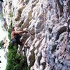 Greg Martinez on Tonsi Tower horizontal jugs