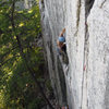 Hutch on Castor, Seneca Rocks, WV.