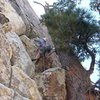 The second headwall pitch starts next to an interesting tree.