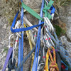 Cluster!!! The belay tree at the top of pitch 4.