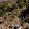 Patty Fienup climbs through blocks near the top of Blue & Green, in the Central Gully of the Fortress.