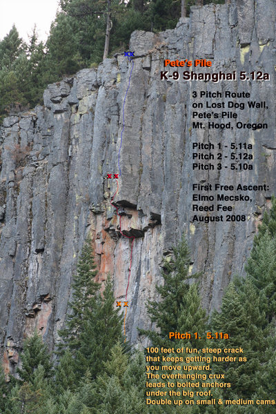 Topo of K-9 Shanghai Pitch 1