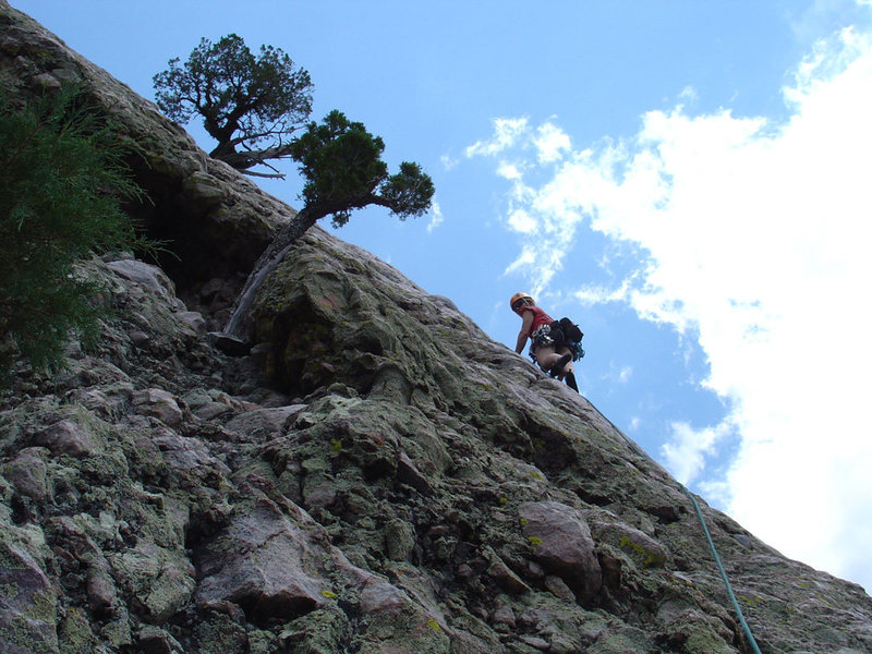 Amy leading p2 of Techo al Derecho (July 16, 2005).