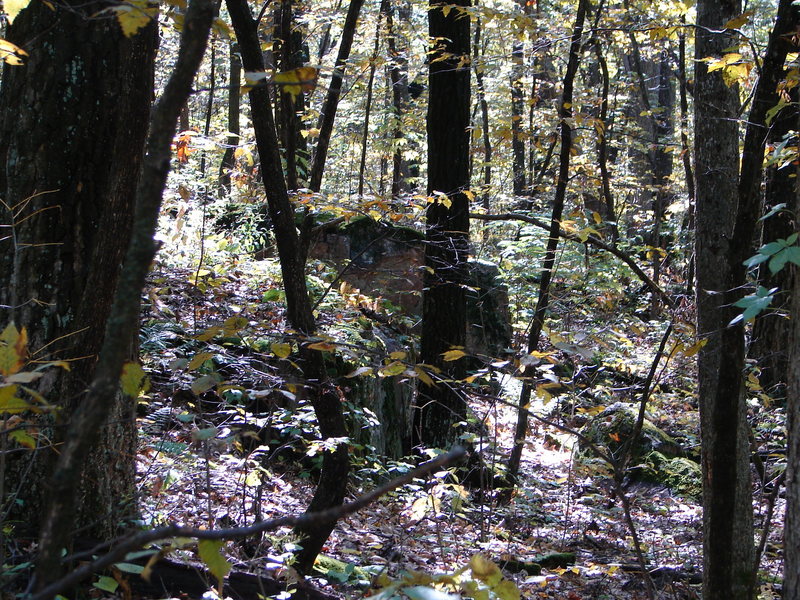 From the down tree, this rock will be on your right.  Walk past this heading south to the area.