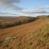 Looking towards Stanage Plantation