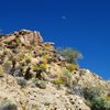 Amazing beauty near Cottonwood Springs, April '08.