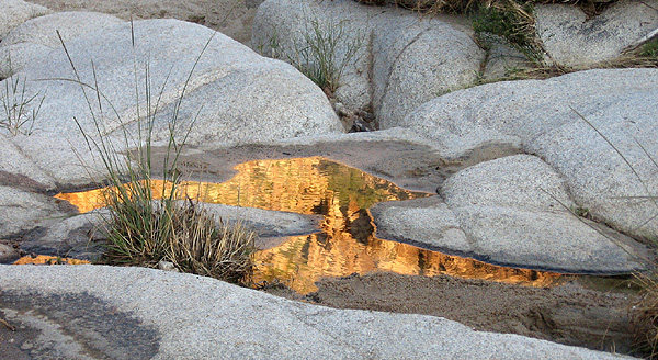 Reflection-Rattlesnake Canyon.<br>
Photo by Blitzo.