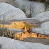 Reflection-Rattlesnake Canyon.<br>
Photo by Blitzo.