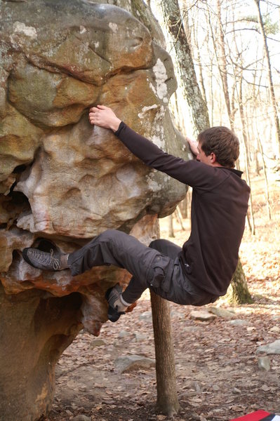 Midway through Growing Stone