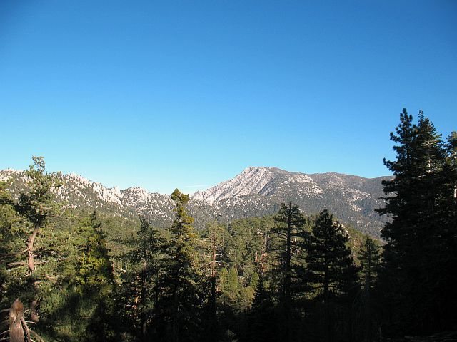 San Jacinto Peak from the edge of Boulder Basin CG, San Jacinto Mtns.