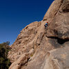 Elva Rogers climbs Season Opener in Joshua Tree National Park.