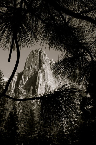 Sentinel Rock framed by pine trees