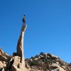 Obi atop The Aguille, Joshua Tree NP