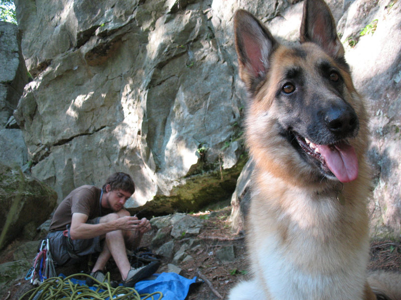 Gabriel stealing the spotlight, gearing up for Penitent Crack.