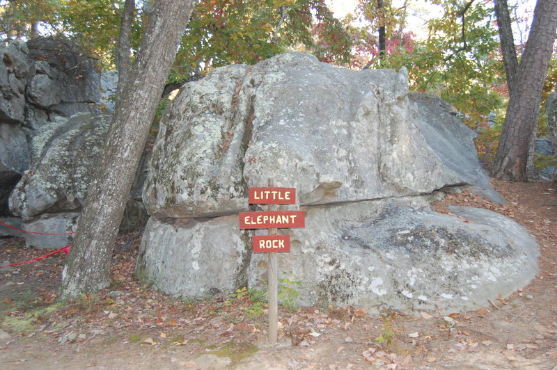 Elephant Rock