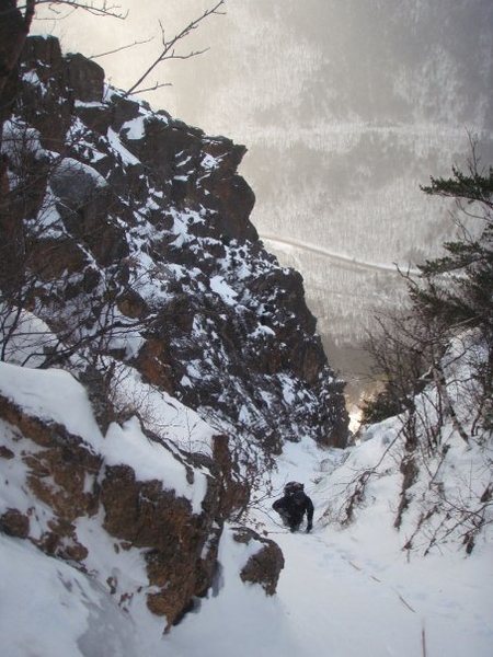 The upper reaches of Shoestring Gully.