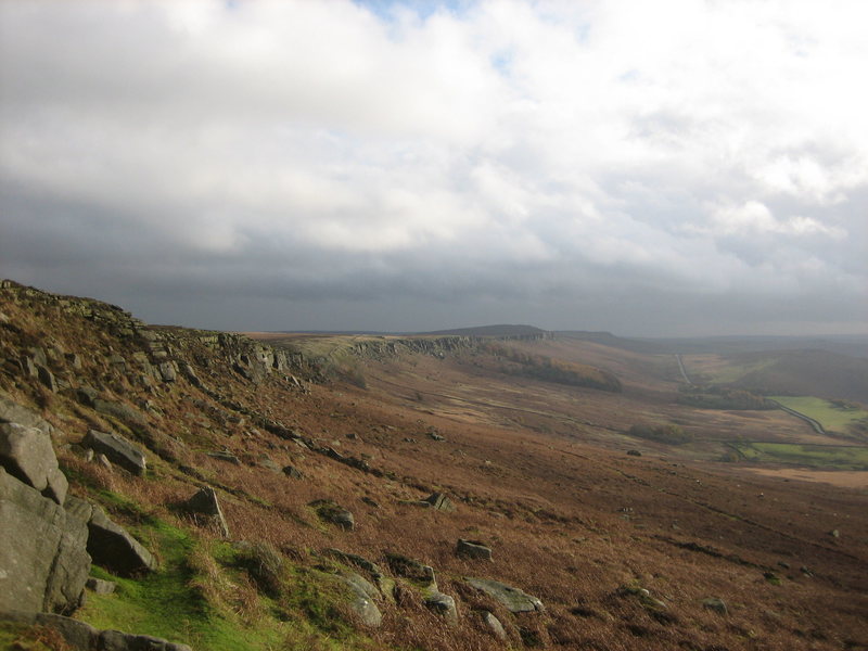 Plantation from High Neb