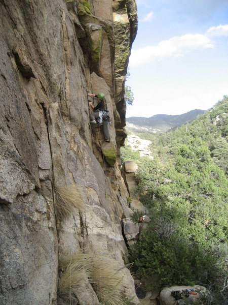 Meghan, heads up Crows Nest.  