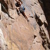 Rosy Toit.  First pitch of Le Toit, Eldo