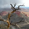 Near the calico hills