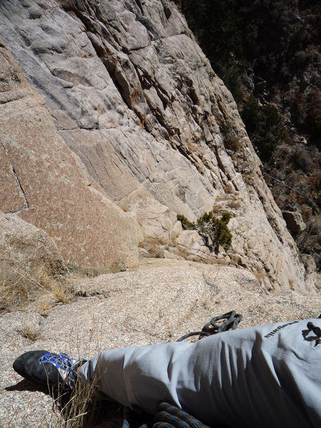 Belay station after pitch 2 1/2, on a 70m rope. This fun 5.8 layback is just below the tree, coming up to join pitch 3. Slight hanging belay, no bolts here.