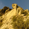 Burner buttress. The main split in the face is the Firestarter, the next one over to the left the Burner. Wide lovin'!!<br>
<br>
Anchor on the solid mahogany to the right of the dead tree up top. <br>
The top can be reached by scrambling up the heinously loose and brushy gully to the right.