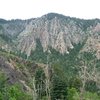 The view of Generator Ribs from the Powerplant/Wavebreak Area.  This gives a good perspective as to how far back through the trees these buttresses are.  