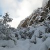 Hidden Falls Area. Red Rock. Dec 18, 2008.