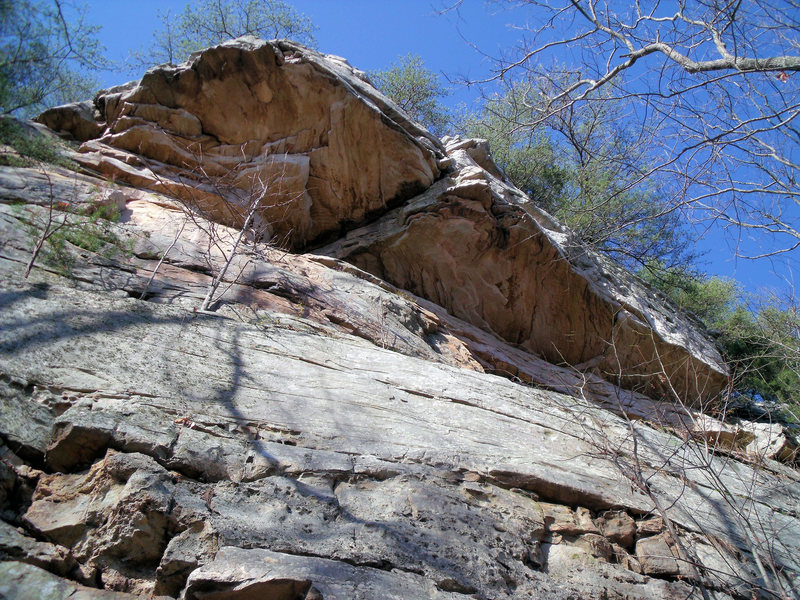 Looking up at Elephant Crack