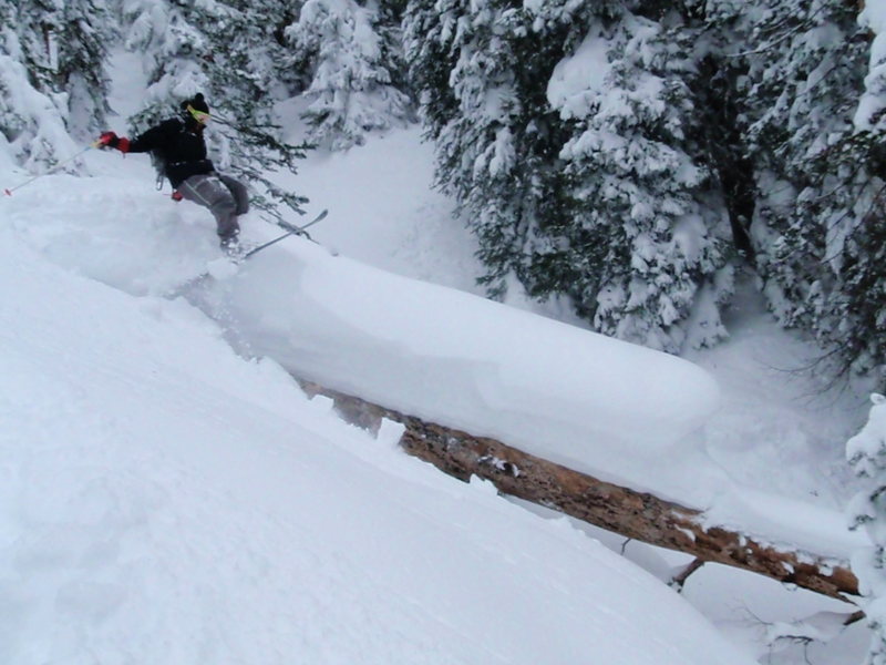 Tree skiing.  Photo taken by Jeff Barnow