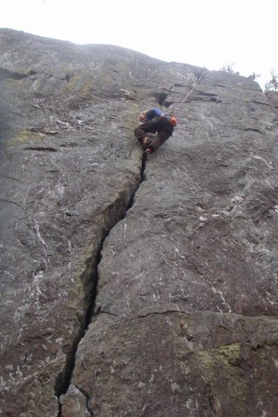 The Rose Crack, Classic