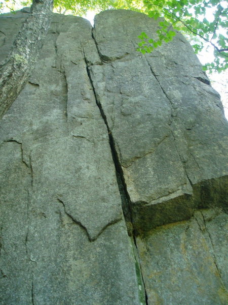 Looking straight up One Little Indian. 