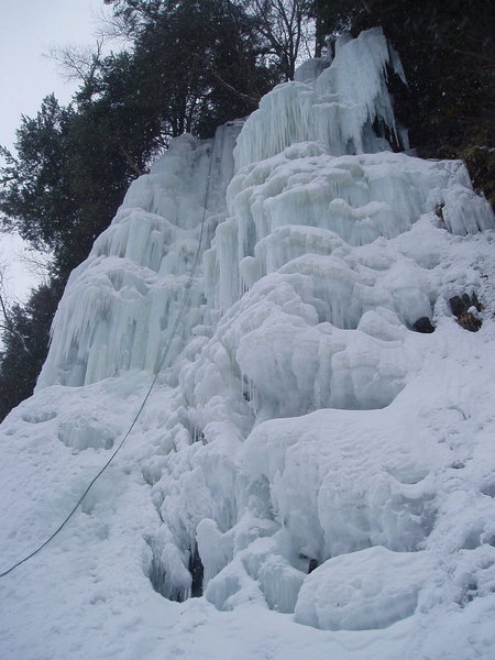 Salmon Steak with rappel rope in place