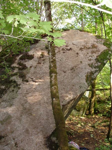 Climb up as close to the edge as you dare.